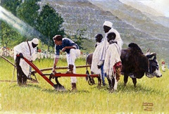 The Peace Corps In Ethiopia