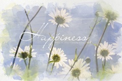 Watercolor Inspirational Poster: A Happy Life consists in tranquility of mind