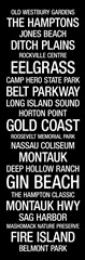 Subway Roll: Long Island, New York