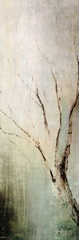 Seasons I