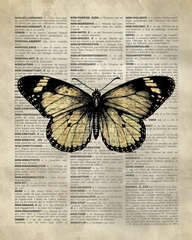 Vintage Dictionary Art: Butterfly I