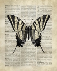 Vintage Dictionary Art: Butterfly II