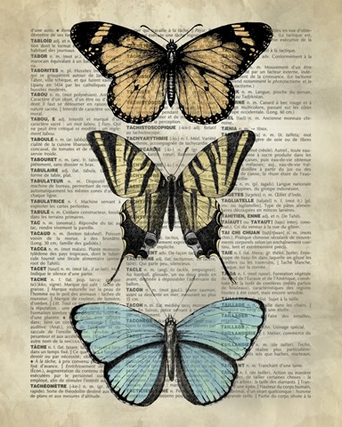 Vintage Dictionary Art: Butterfly Specimen