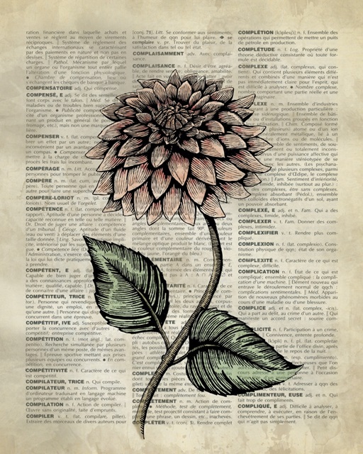 Vintage Dictionary Art: Dahlia