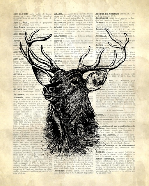 Vintage Dictionary Art: Deer