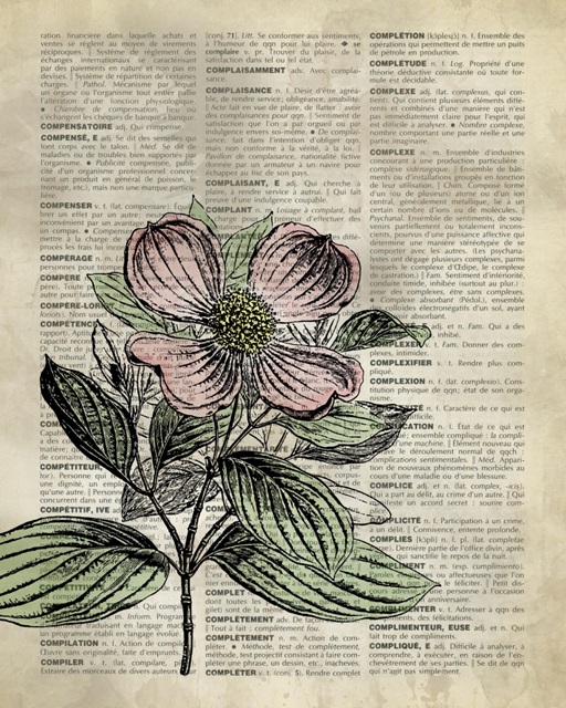 Vintage Dictionary Art: Dogwood