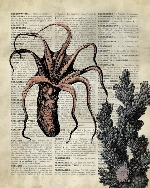 Vintage Dictionary Art: Octopus