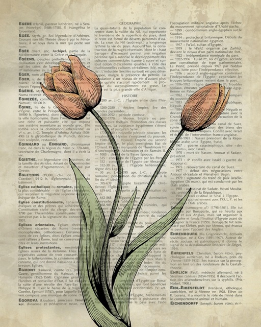 Vintage Dictionary Art: Tulips