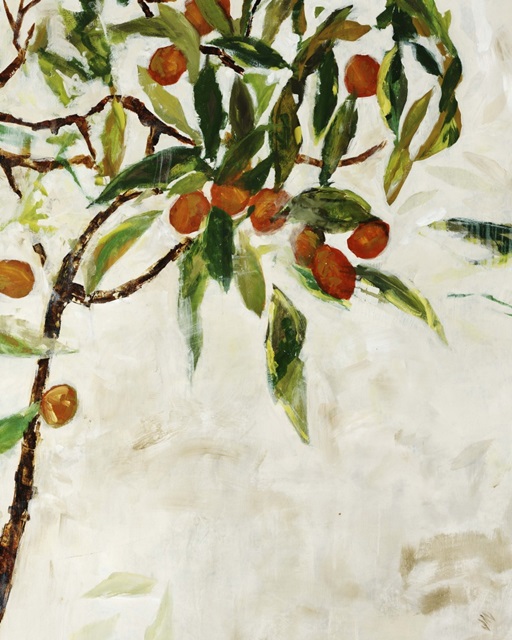 Kumquat Tree