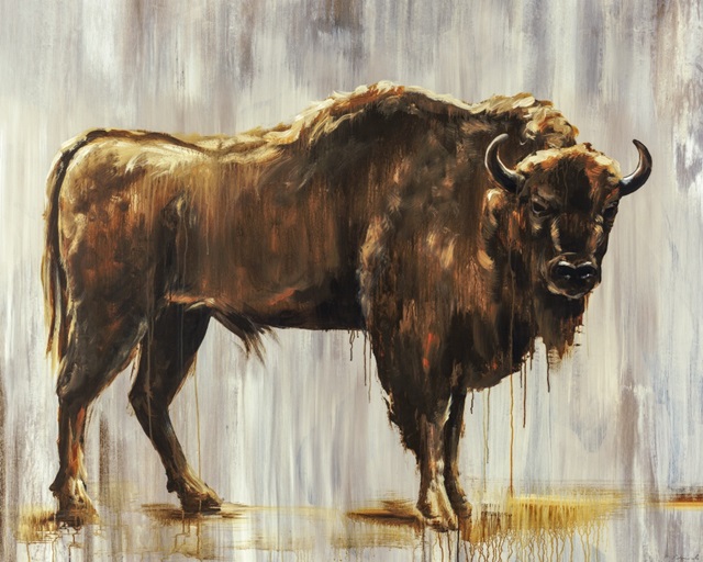 Bison