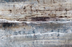 Counterbalance Coast