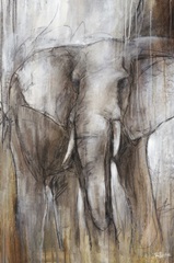 Elephant Study