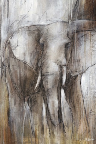 Elephant Study