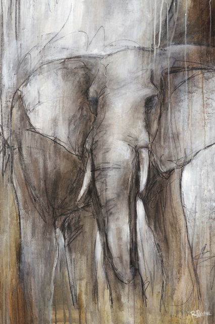 Elephant Study