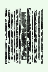 Abstract Line Shapes II
