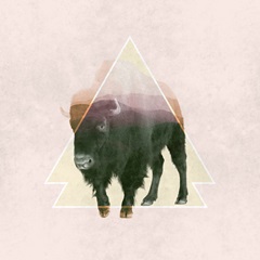 Bison Double Exposure Wildlife Art