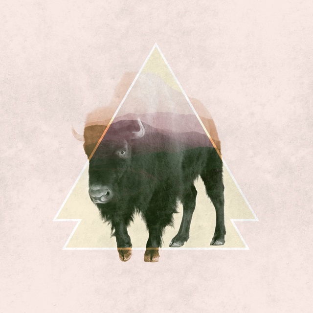 Bison Double Exposure Wildlife Art