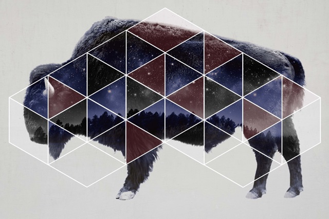 Bison Double Exposure Wildlife Art II