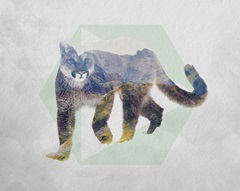 Cougar Double Exposure Wildlife Art