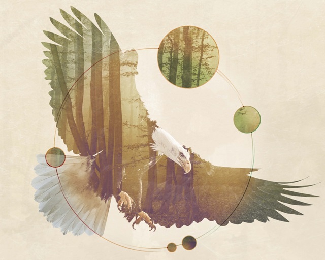 Double Exposure Wildlife Art - Eagle