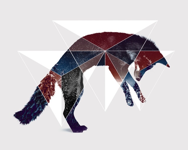 Fox Double Exposure Wildlife Art I