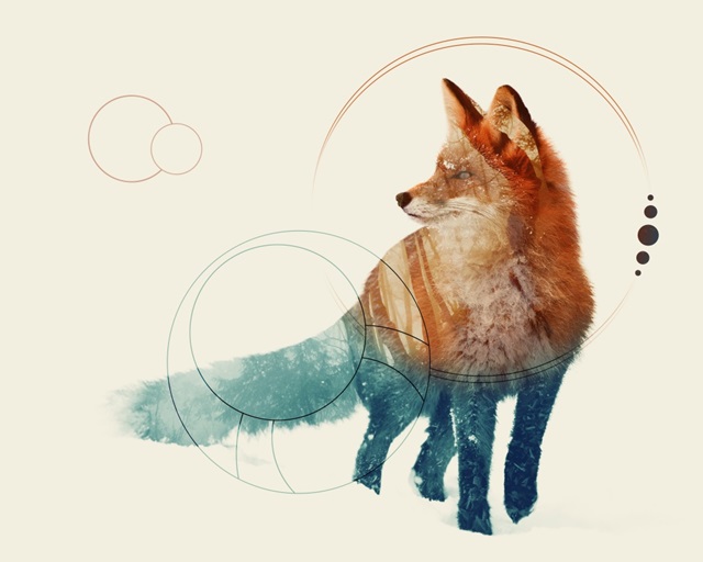 Fox Double Exposure Wildlife Art II