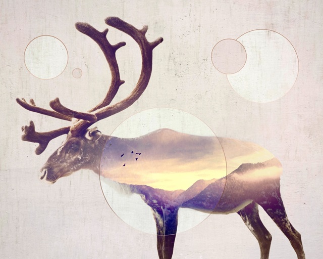 Double Exposure Wildlife Art - Reindeer