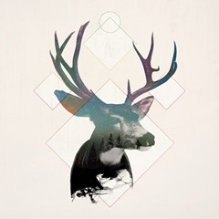 Stag Double Exposure Wildlife Art I