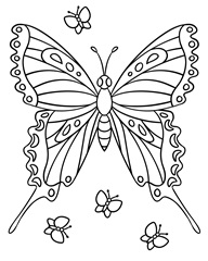 Butterfly Children's coloring page