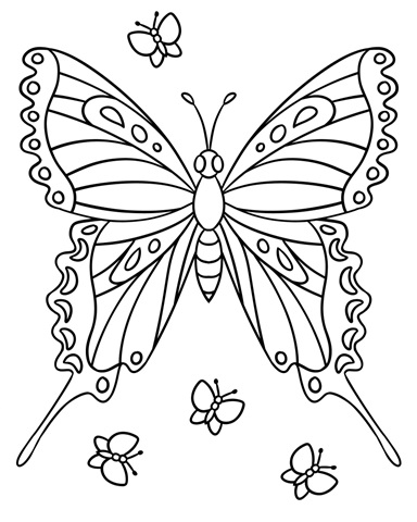 Butterfly Children's coloring page