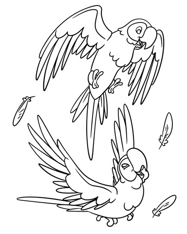 Parrots Children's coloring page