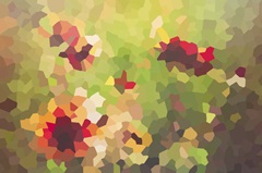 Flowers - Abstract Geometric