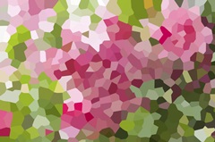 Rose Bush - Abstract Geometric