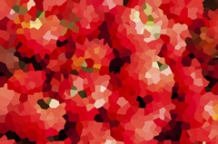Tomatoes - Abstract Geometric