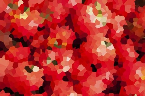 Tomatoes - Abstract Geometric