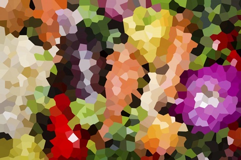 Vegetable Medley - Abstract Geometric