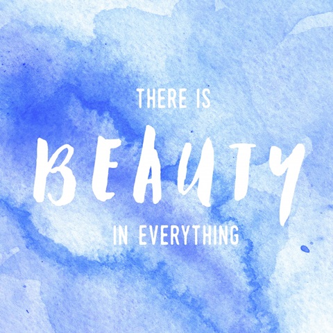 Beauty in Everything - Sentiment