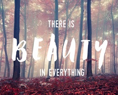 Beauty in Everything - Sentiment