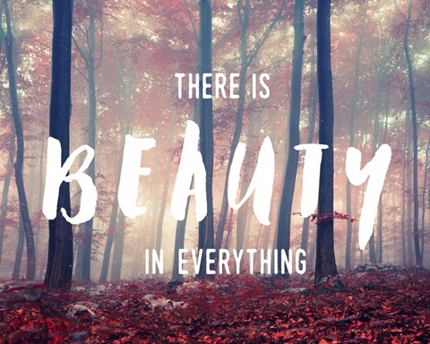 Beauty in Everything - Sentiment