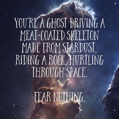 Fear Nothing - Sentiment