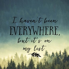 I Haven't Been Everywhere - Sentiment