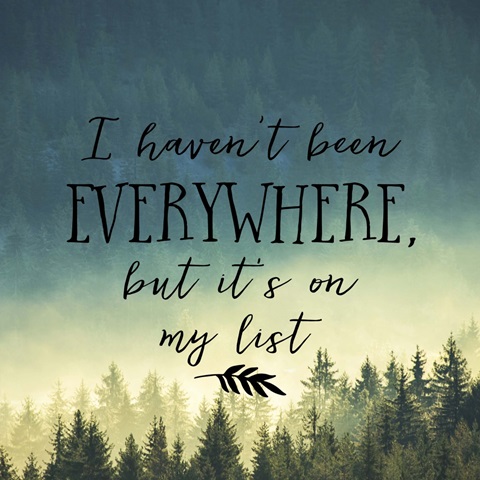 I Haven't Been Everywhere - Sentiment