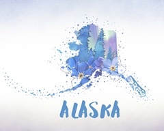 Alaska State Flower (Forget-Me-Not)