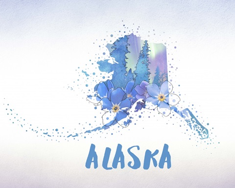 Alaska State Flower (Forget-Me-Not)