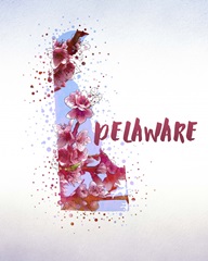 Delaware State Flower (Peach Blossom)