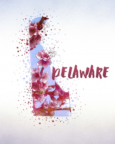 Delaware State Flower (Peach Blossom)