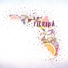 Florida State Flower (Orange Blossom)