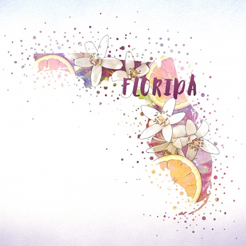 Florida State Flower (Orange Blossom)