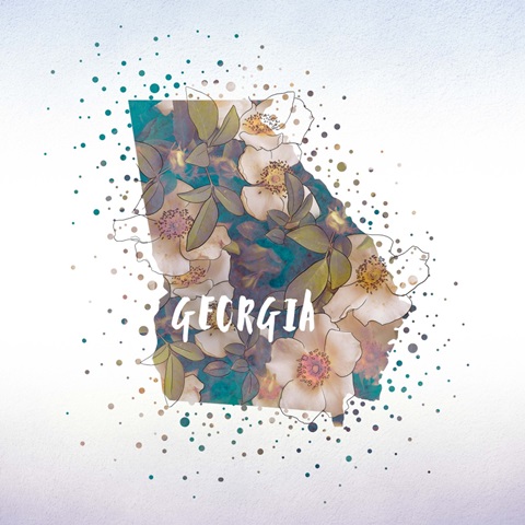 Georgia State Flower (Cherokee Rose)