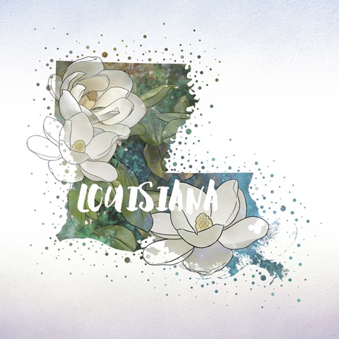 Louisiana State Flower (Magnolia)